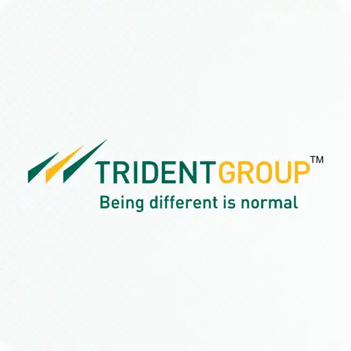 Play Trident - Together Stronger APK