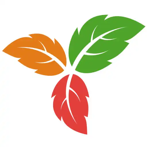 Play Trilium Sender APK Play Trilium Sender APK