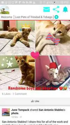 Play Trinbago Pets