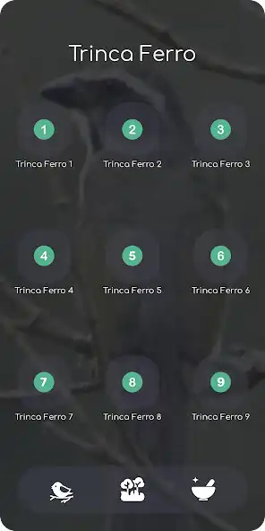 Play Trinca Ferro Brazil and enjoy Trinca Ferro Brazil with UptoPlay Play Trinca Ferro Brazil and enjoy Trinca Ferro Brazil with UptoPlay