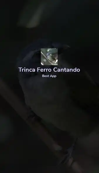 Play Trinca Ferro Cantando plus  and enjoy Trinca Ferro Cantando plus with UptoPlay