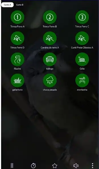 Play Trinca Ferro Cantando plus as an online game Trinca Ferro Cantando plus with UptoPlay