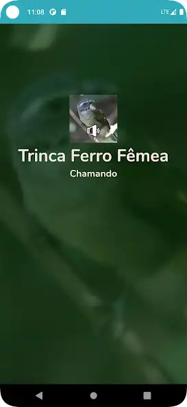 Play Trinca Ferro Fêmea Chamando and enjoy Trinca Ferro Fêmea Chamando with UptoPlay Play Trinca Ferro Fêmea Chamando and enjoy Trinca Ferro Fêmea Chamando with UptoPlay
