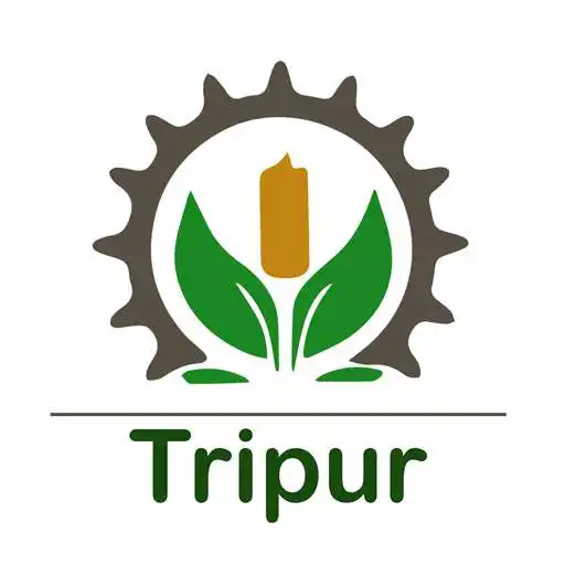 Play Tripur User APK Play Tripur User APK