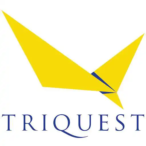 Free play online Triquest MGMT APK Free play online Triquest MGMT APK