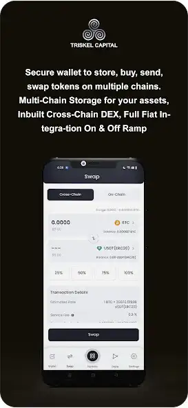 Play Triskel Capital Wallet as an online game Triskel Capital Wallet with UptoPlay