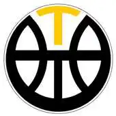Free play online Triumph Basketball Club APK