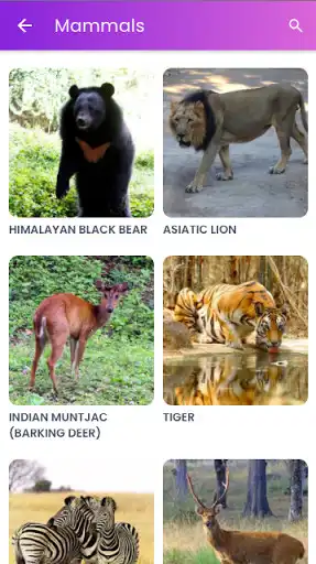 Play Trivandrum  Zoo as an online game Trivandrum  Zoo with UptoPlay