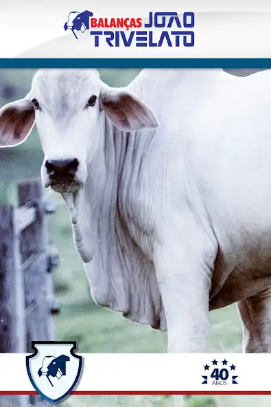 Play Trivelato and enjoy Trivelato with UptoPlay Play Trivelato and enjoy Trivelato with UptoPlay