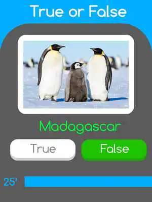 Play Trivia Movie: True or False