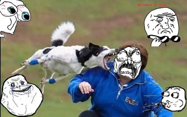 Play Troll Face Meme Sticker