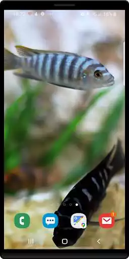 Play Tropical Aquarium LWP  and enjoy Tropical Aquarium LWP with UptoPlay