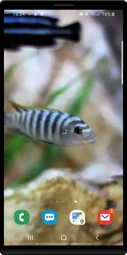 Play Tropical Aquarium LWP as an online game Tropical Aquarium LWP with UptoPlay