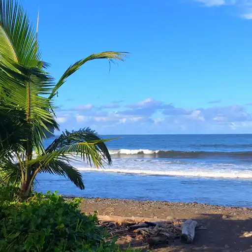 Play Tropical Beach Live Wallpaper APK Play Tropical Beach Live Wallpaper APK