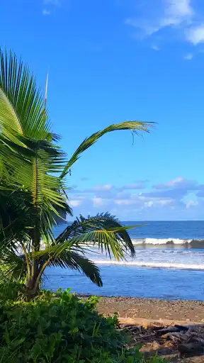 Play Tropical Beach Live Wallpaper  and enjoy Tropical Beach Live Wallpaper with UptoPlay