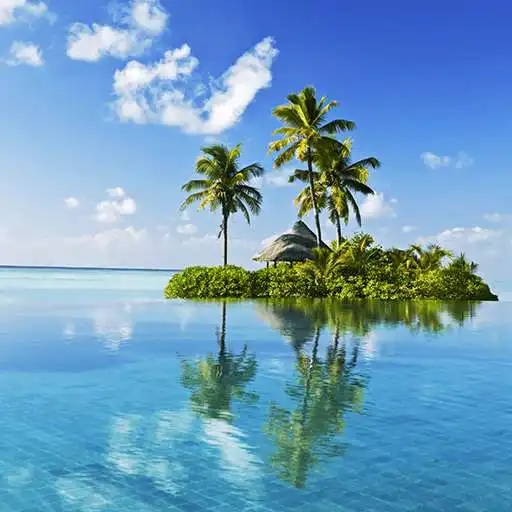 Free play online Tropical Beach Live Wallpapers APK