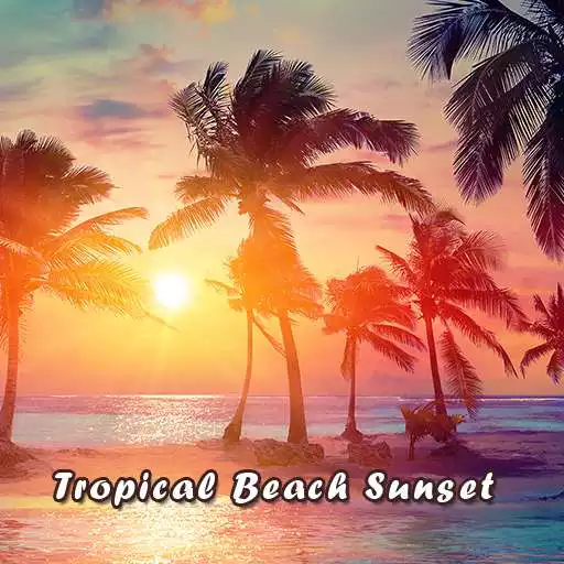 Play Tropical Beach Sunset Theme APK Play Tropical Beach Sunset Theme APK