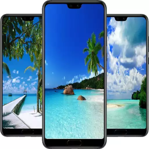 Free play online Tropical Beach Wallpaper APK