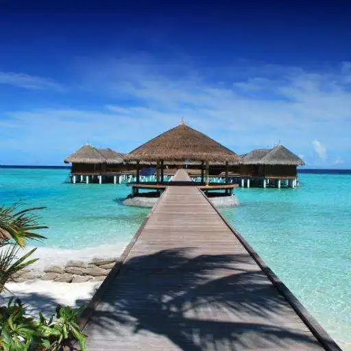 Play Tropical Beach Wallpapers APK Play Tropical Beach Wallpapers APK