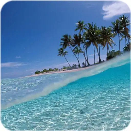 Play Tropical Cool Wallpaper APK