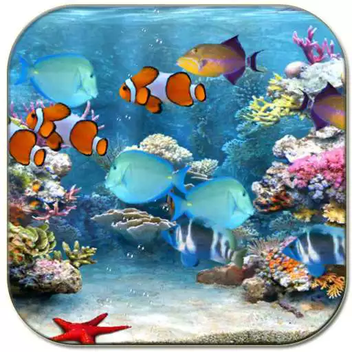 Free play online Tropical fishes aquarium  APK