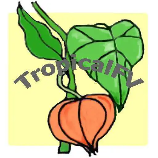Free play online Tropical Fruits and Vegetables APK Free play online Tropical Fruits and Vegetables APK