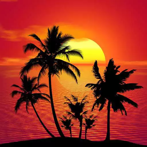 Free play online Tropical Live Wallpaper APK