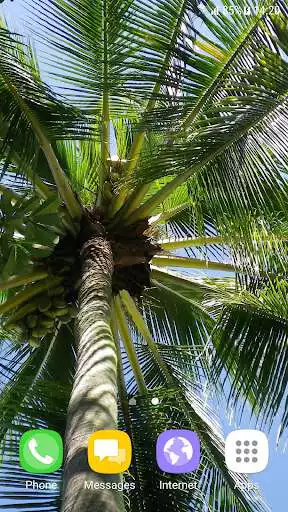 Play Tropical Live Wallpaper