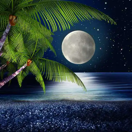 Play Tropical Night Live Wallpaper APK Play Tropical Night Live Wallpaper APK