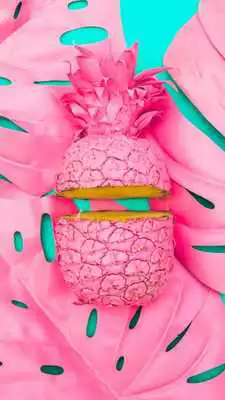 Play Tropical Palm Leaves Wallpapers
