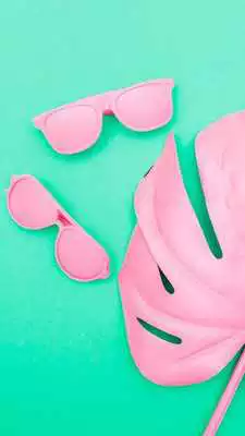 Play Tropical Palm Leaves Wallpapers