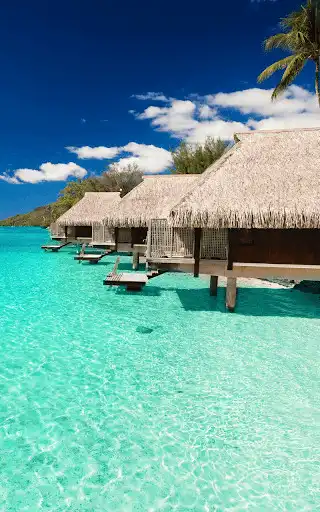 Play Tropical Paradise Wallpaper HD