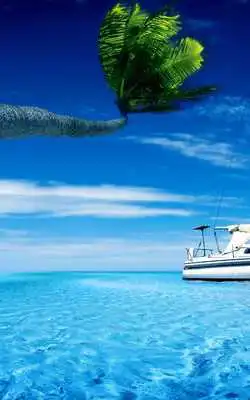 Play Tropical Paradise Wallpaper HD