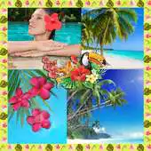 Free play online Tropical Photo Collage APK Free play online Tropical Photo Collage APK