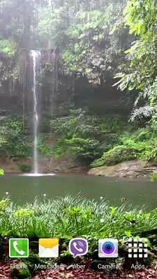 Play Tropical Rain Video Wallpaper