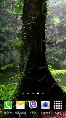 Play Tropical Rain Video Wallpaper