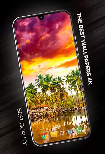 Play Tropical wallpaper in 4K  and enjoy Tropical wallpaper in 4K with UptoPlay