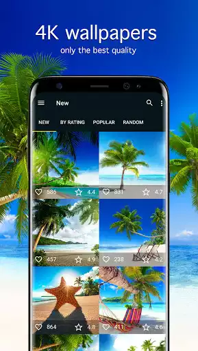 Play Tropical wallpapers 4K and enjoy Tropical wallpapers 4K with UptoPlay Play Tropical wallpapers 4K and enjoy Tropical wallpapers 4K with UptoPlay