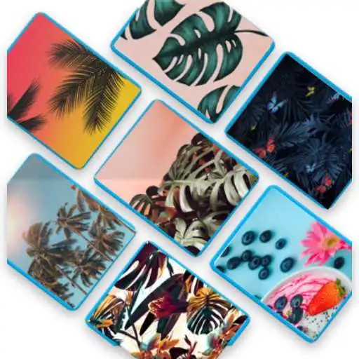 Play Tropical wallpapers live APK Play Tropical wallpapers live APK