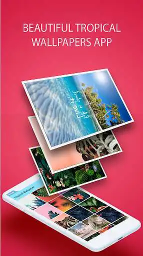 Play Tropical wallpapers live  and enjoy Tropical wallpapers live with UptoPlay