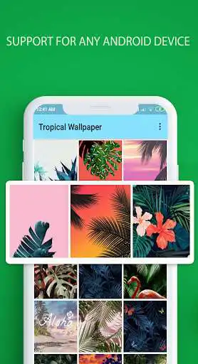 Play Tropical wallpapers live as an online game Tropical wallpapers live with UptoPlay