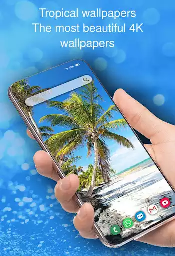 Play Tropical Wallpapers  and enjoy Tropical Wallpapers with UptoPlay