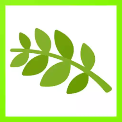 Play Tropism in Plants APK