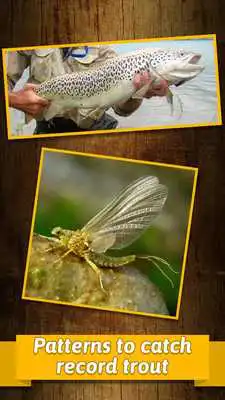 Play Trout Fly Fishing - Fly Tying Play Trout Fly Fishing - Fly Tying