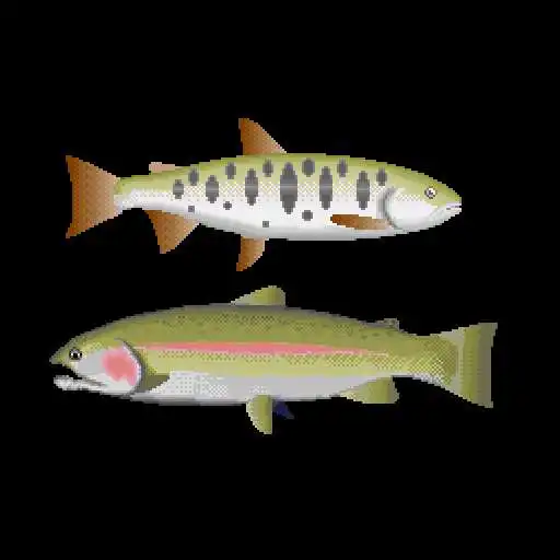 Play Trout lure fishing APK Play Trout lure fishing APK