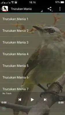 Play Trucukan Mania Chirping