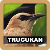 Free play online Trucukan Master APK