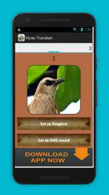Play Trucukan Master Kicau
