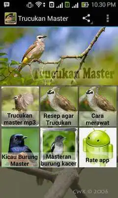 Play Trucukan Master
