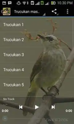 Play Trucukan Master
